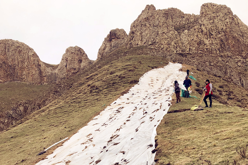 瑪溫根礦區探槽植被恢復工作圓滿完成
